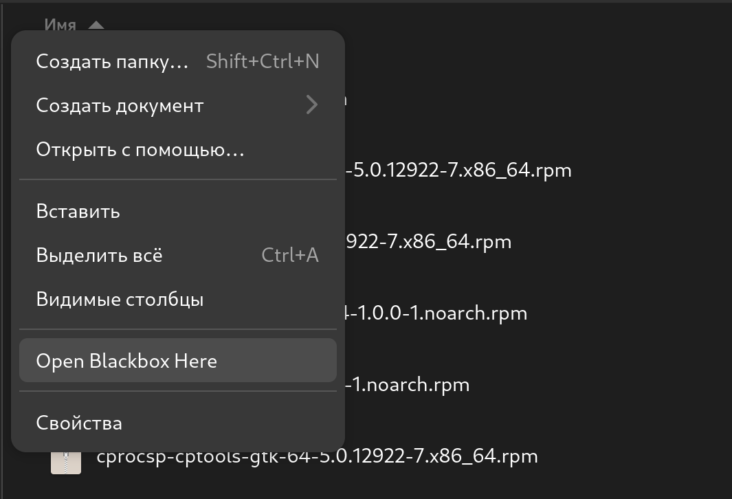 Контекстное меню для открытия терминала